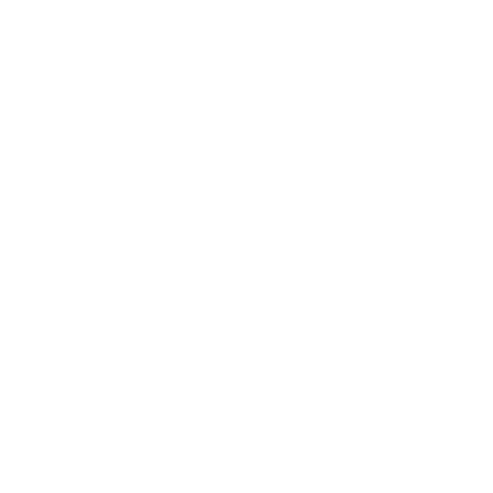 NTL Logo